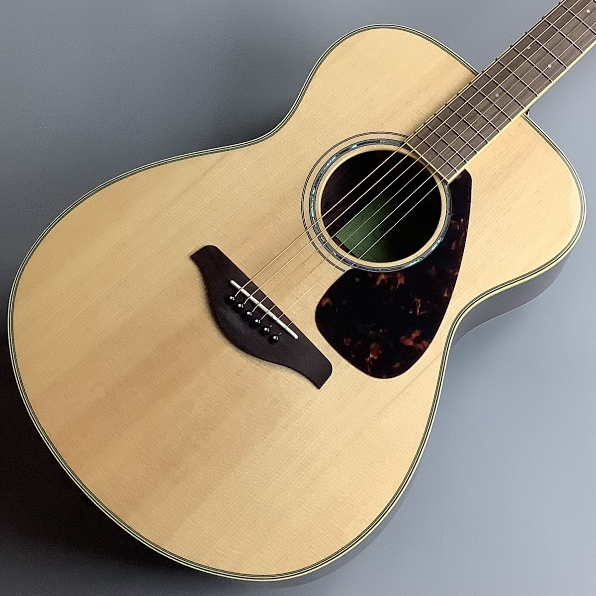 アコースティックギターFS830