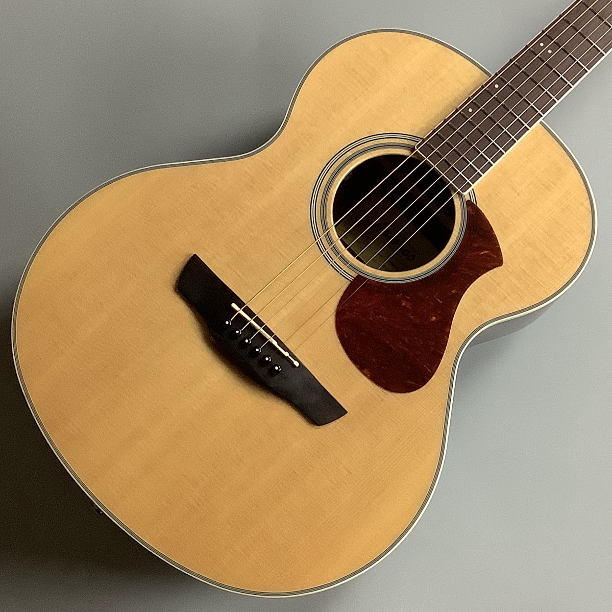 アコースティックギターJ-450A