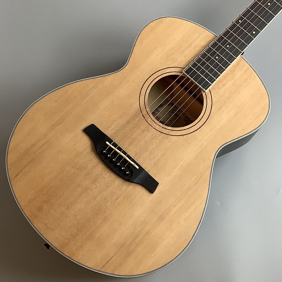 アコースティックギターSoldin SFG-15