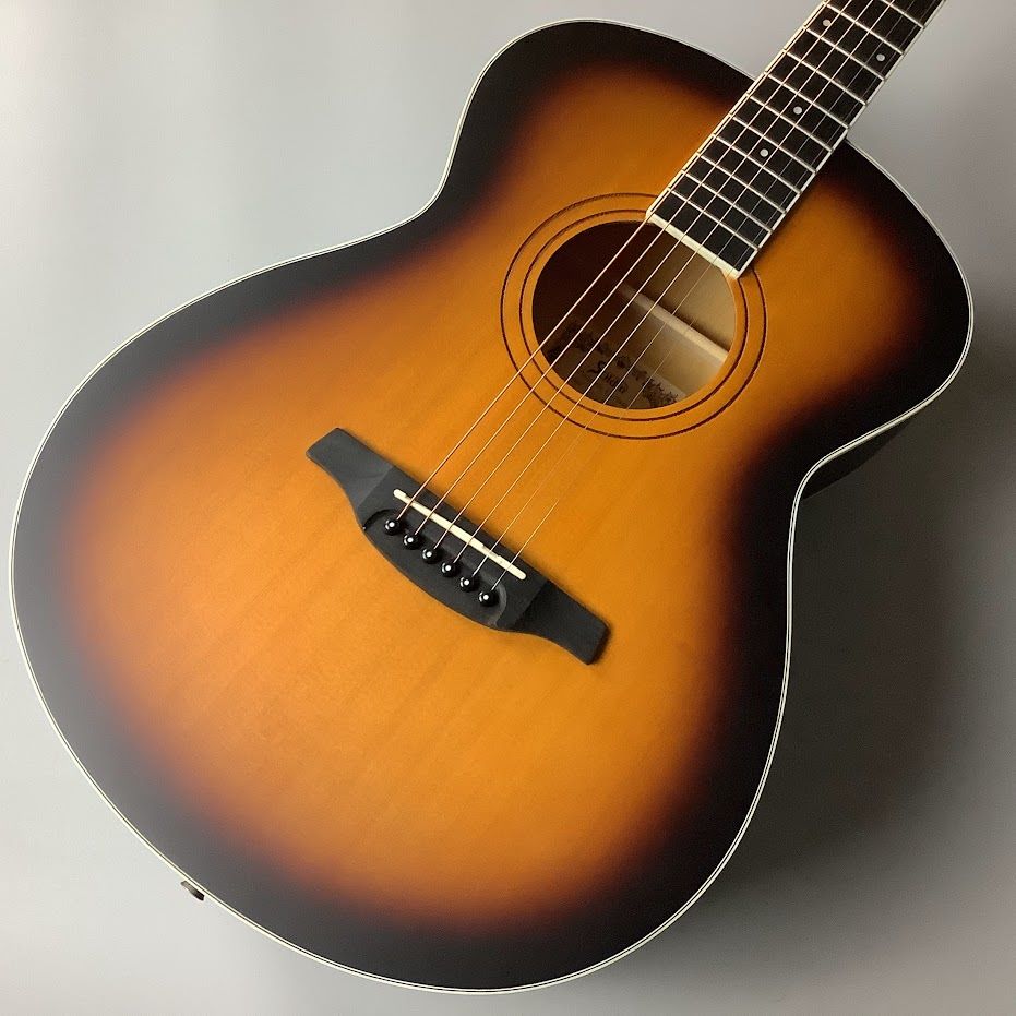 アコースティックギターSoldin SFG-15