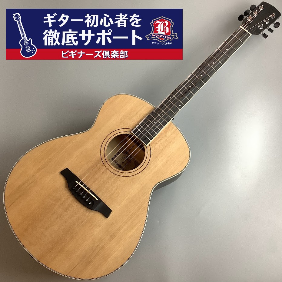 初心者セミナー付きギターSFG-15