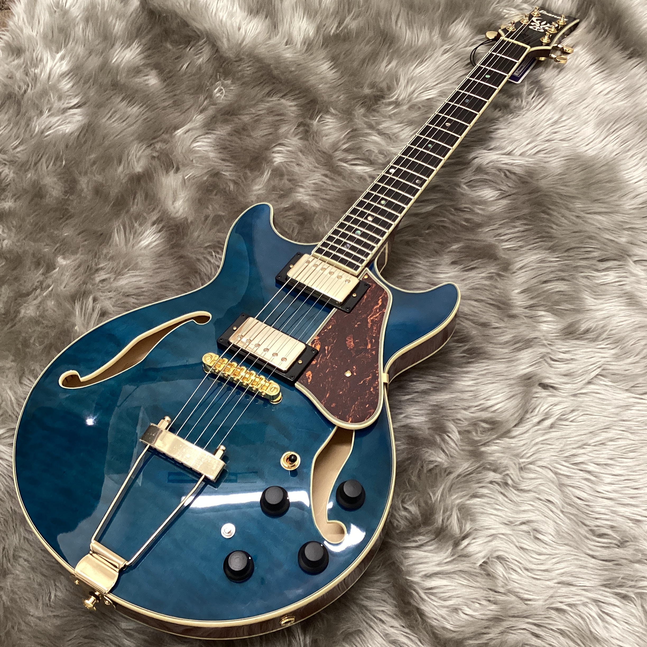 IbanezAMH90QM