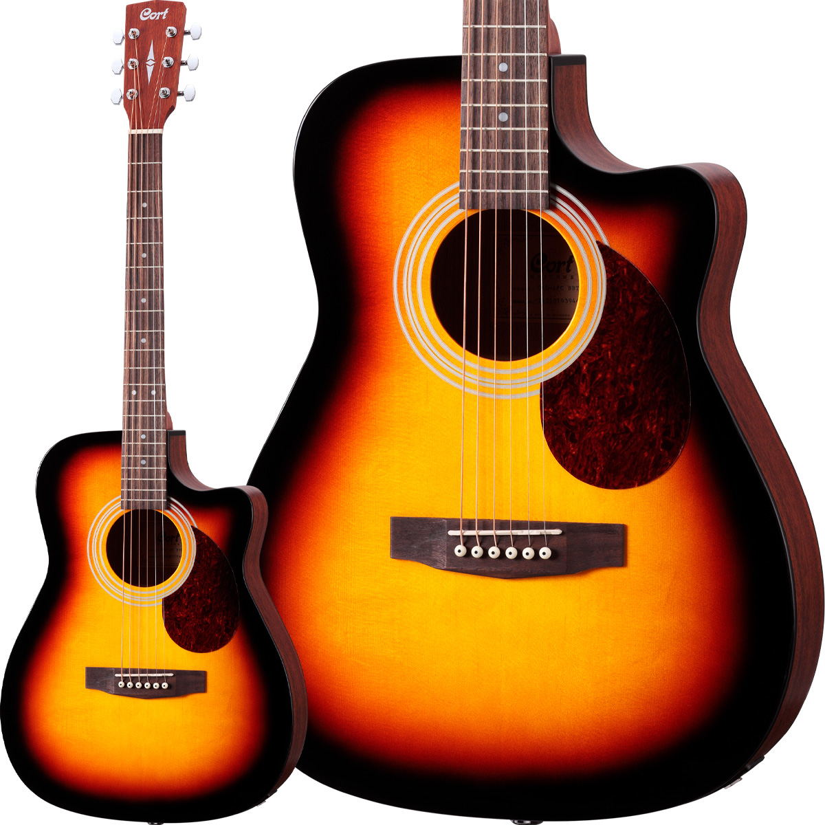 Cort　CAG-1FC BBTCort　CAG-1FC BBT