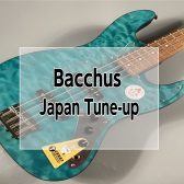 【ベース】バッカスのJapan Tune-upシリーズの魅力！