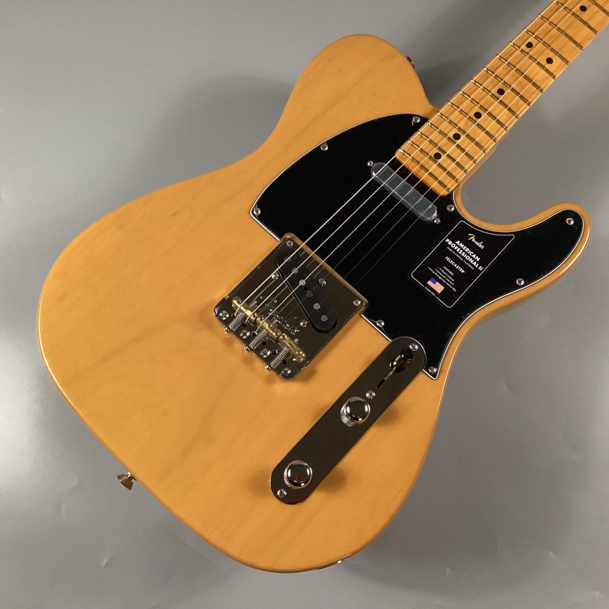 Fender AM PRO II TL MN 