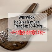 【warwick】PS THUMB BO4 TS　～パーツの独自性が面白かったので紹介してみた～