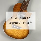 8万円台～17万円台ウクレレをご紹介！