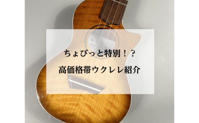 8万円台～17万円台ウクレレをご紹介！