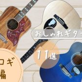学生さん必見！おしゃれギター11選　～アコギ編～