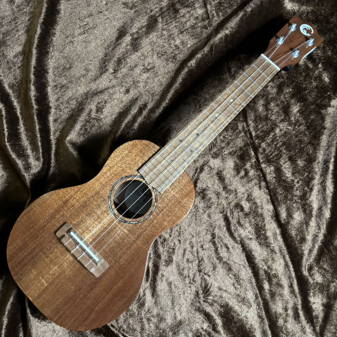 COTONECS555C NAT