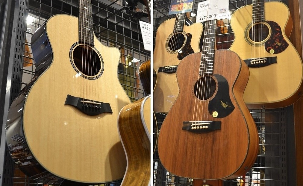 【アコースティックギター】Taylor & Maton アコギ 入荷しました