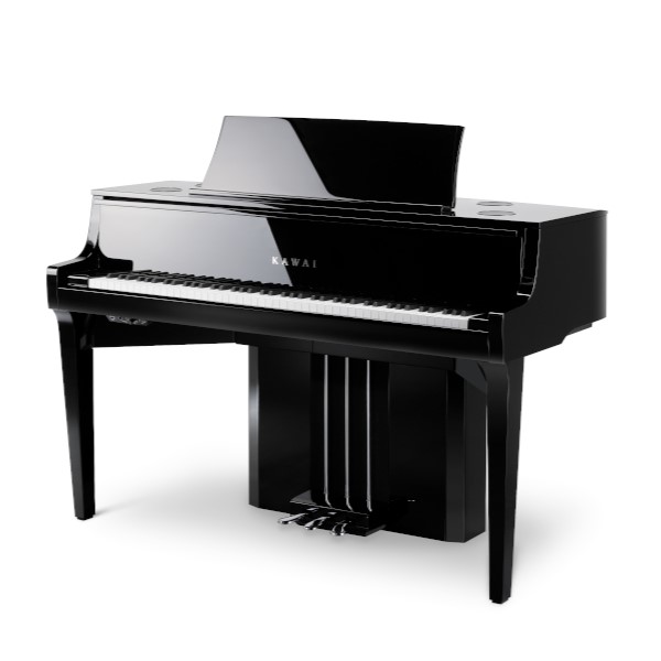 NV10S<br />
カワイ創立90周年記念モデル「NV10」の後継モデル。<br />
グランドピアノさながらの音色、鍵盤やペダルの感触と、電子ピアノの利便性を兼ね備えた、カワイのハイブリッド・ピアノ。<br />
<br />
カラー<br />
黒塗艶出し塗装仕上げ ￥954,800