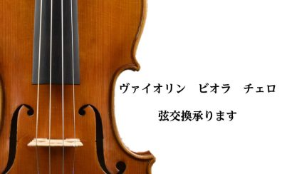 バイオリン他、弦楽器修理承っております！
