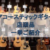 【堺・美原】アコースティックギター/展示ラインナップご紹介