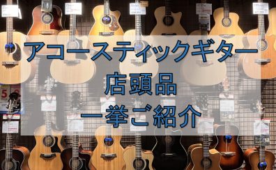 【堺・美原】アコースティックギター展示ラインナップご紹介(7/28更新)