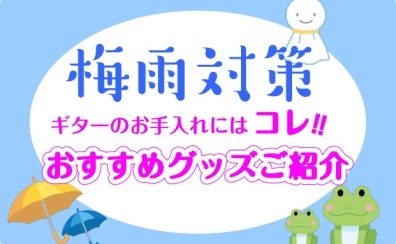 【ギターの湿気対策】おすすめグッズのご紹介！