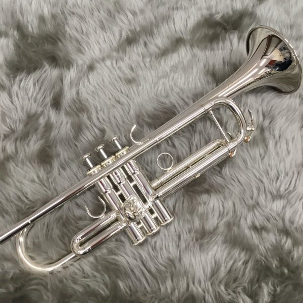 YTR-5335GSIILSE<br />
スタンダードモデルに、カスタムモデルの要素を取り入れ、演奏の際の自由度を増して、より幅広い表現ができるモデルです。<br />
<br />
￥228,000