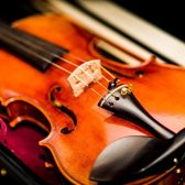 【サークルレポート】2024/7/20(土)弦楽器サークル“Sakai Violino”