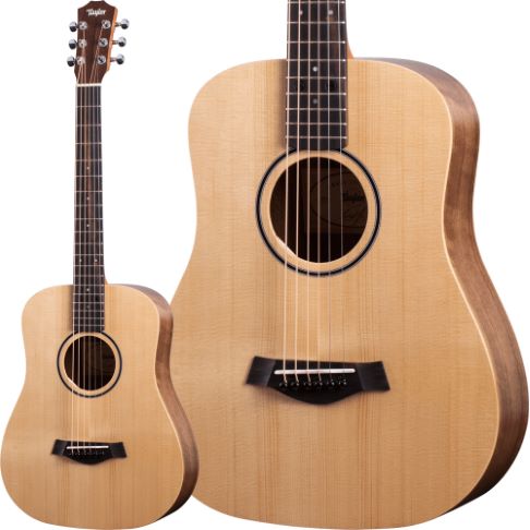 TaylorBT1e