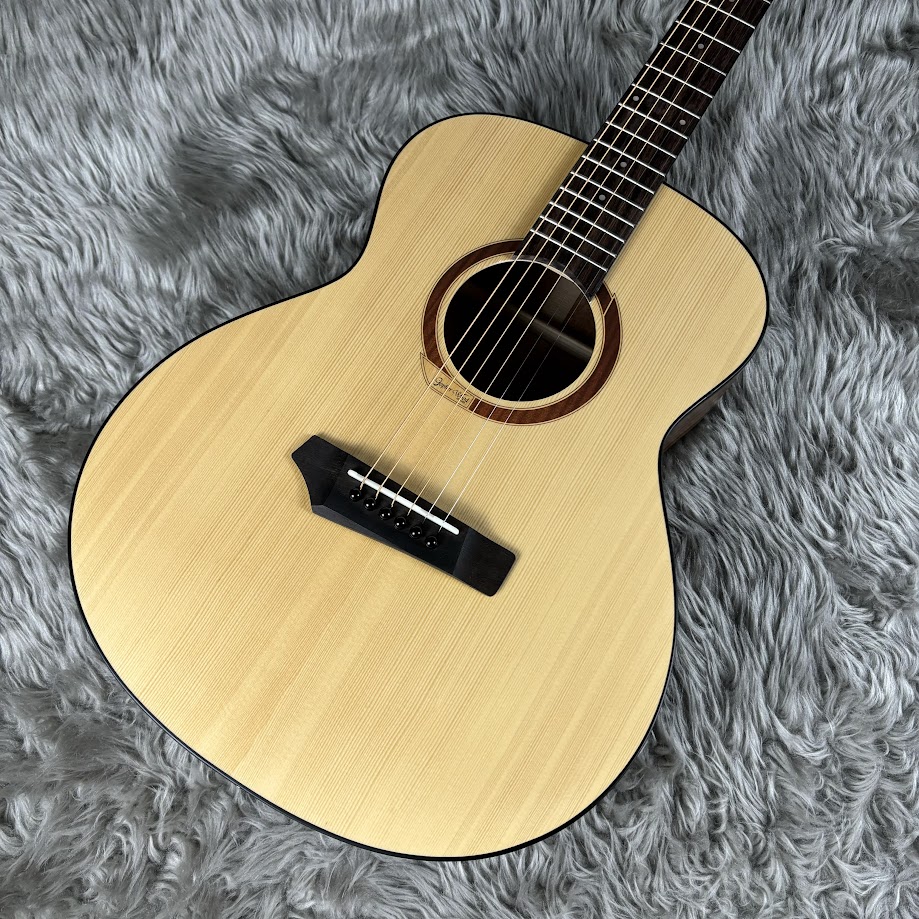 Gopher Wood Guitarsi110S