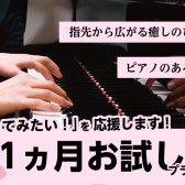 春の第一歩！大人だけのピアノ1ヵ月お試しレッスン【堺市・羽曳野市の予約制教室】