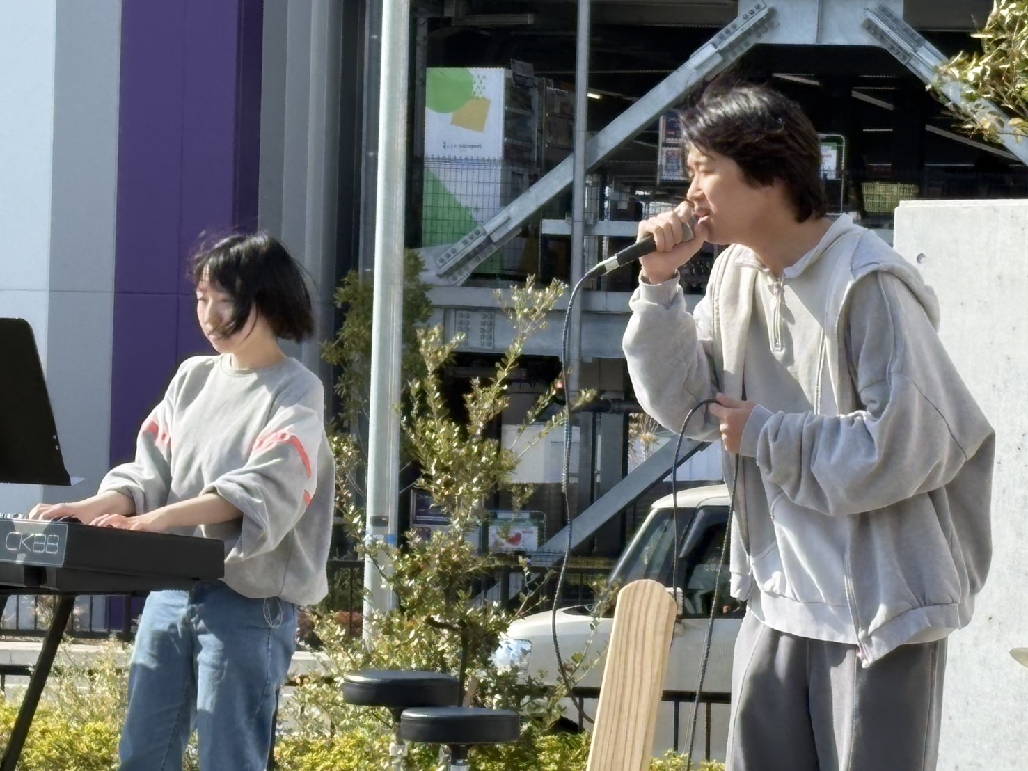 7.陽の樹