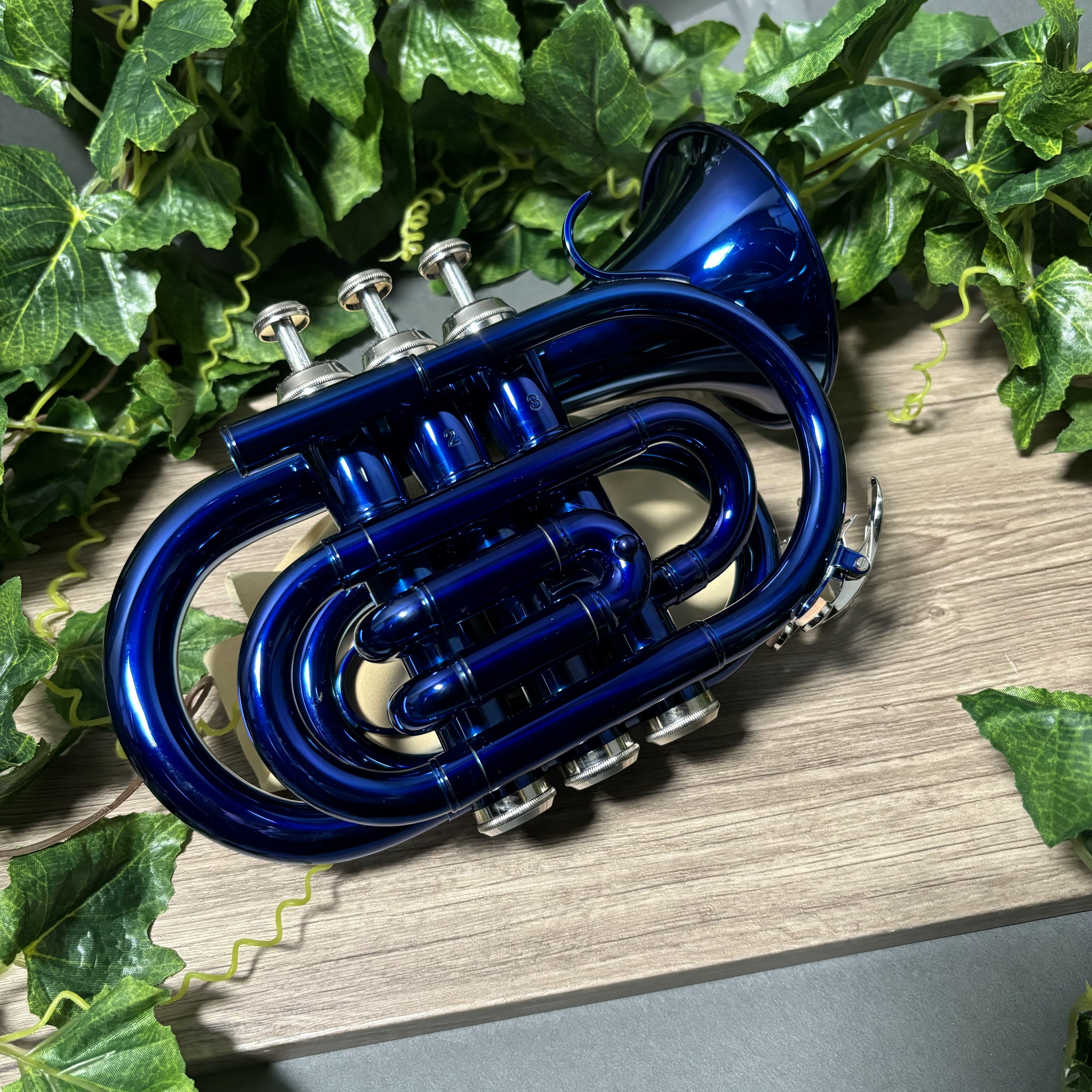 ケルントナーKTR-33P
