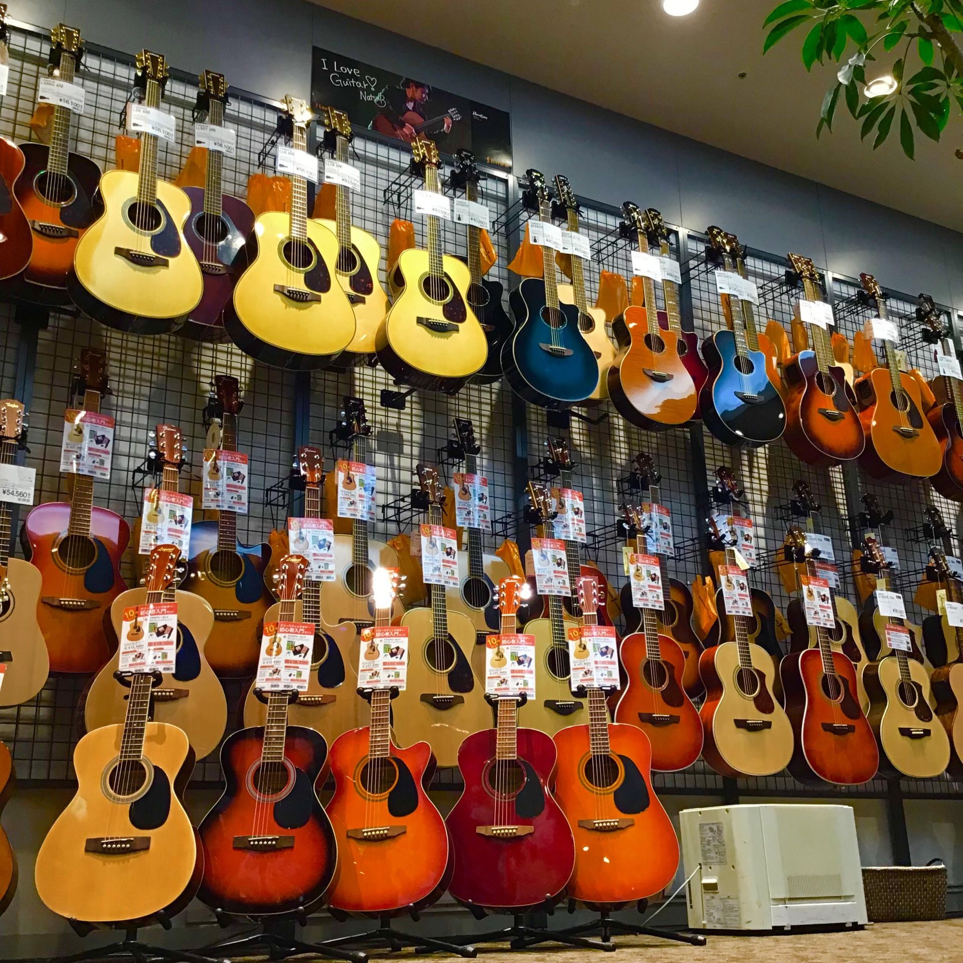 【アコースティックギター】ギター選びはららぽーと横浜店にお任せ下さい！