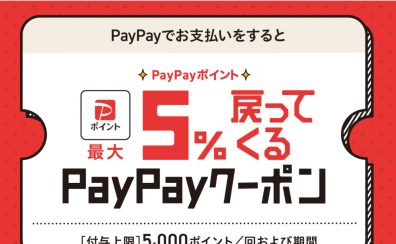 PayPayポイント最大5%戻ってくるクーポンキャンペーン実施中！4/21(月)～5/6(火・祝)