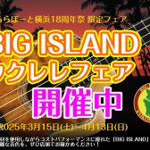 【BIG ISLAND ウクレレフェア】開催中！3月15日(土)～4月13日(日)