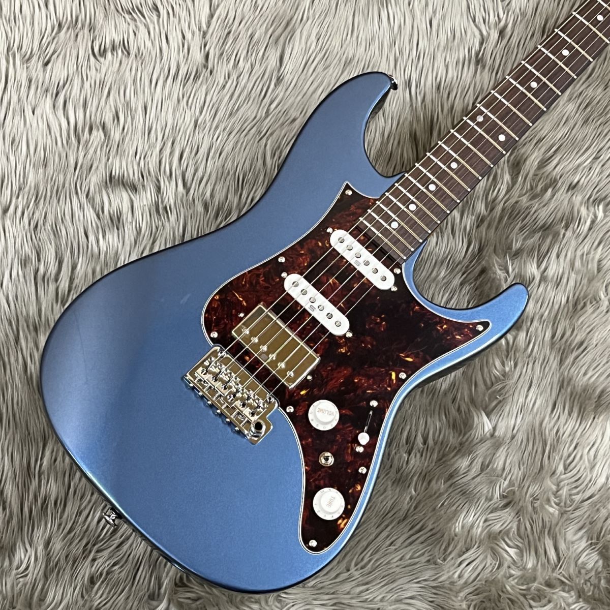 IbanezAZ2204N