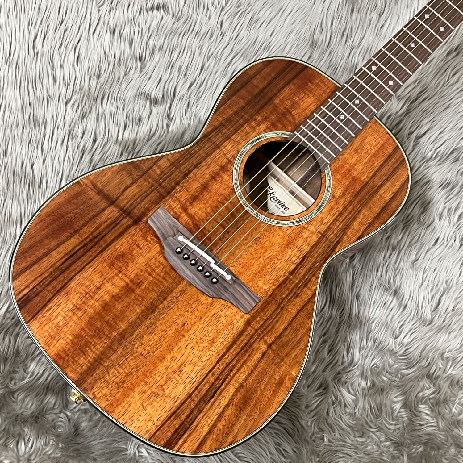 TakaminePTU431K