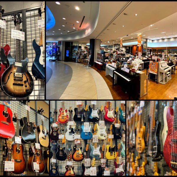 【ギター・ベース総合案内】アコースティックギター、エレキギター、エレキベースにお買い得品あり！