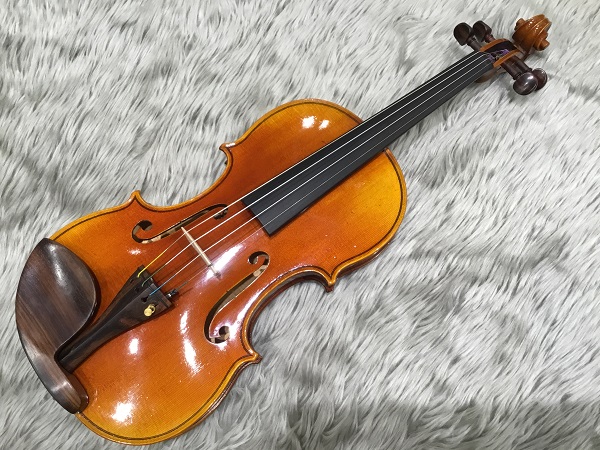 埼玉　越谷　バイオリン　初心者