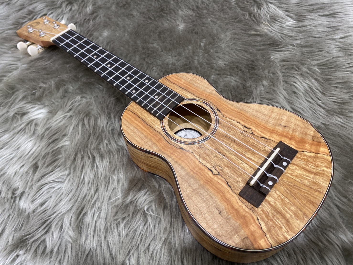 DCT DUT-600ME ウクレレ テナー ピックアップ付【島村楽器限定