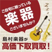 【買取】管楽器の買取り・下取りはイオンレイクタウン店にお任せください！条件に応じて最大査定額20％UP！【無料で即日査定】