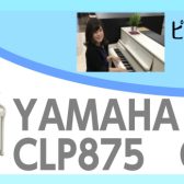 CLP-875.CLP885　大人気クラビノーバの最新モデル入荷しました！詳しく違いを紹介しちゃいます！～ピアノアドバイザー新庄による大解説♪～