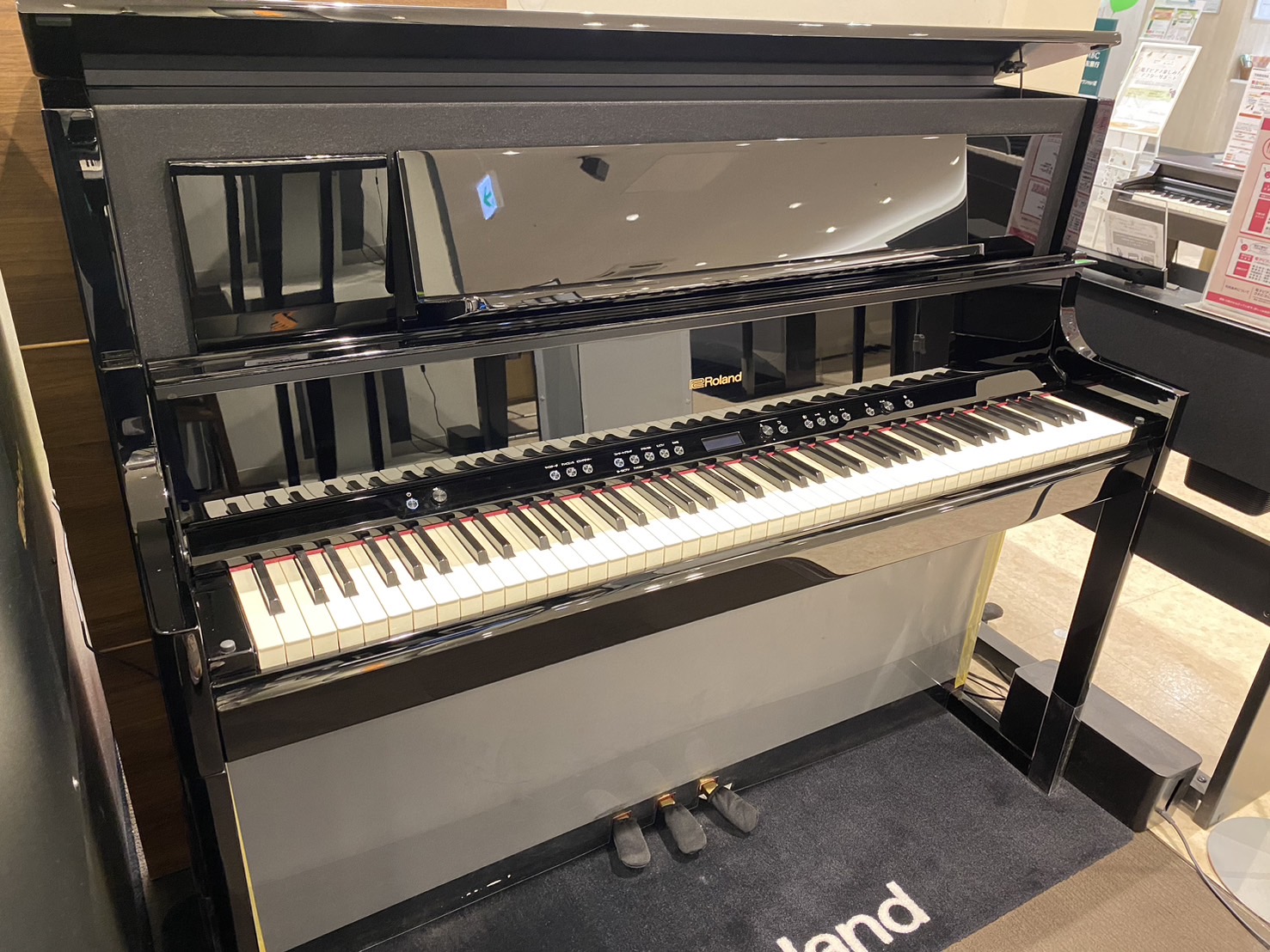 RolandLX708 PE