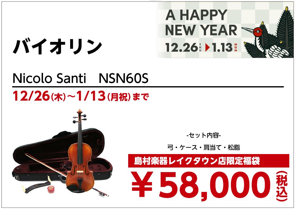 バイオリンNicolo　Santi：NSN60S