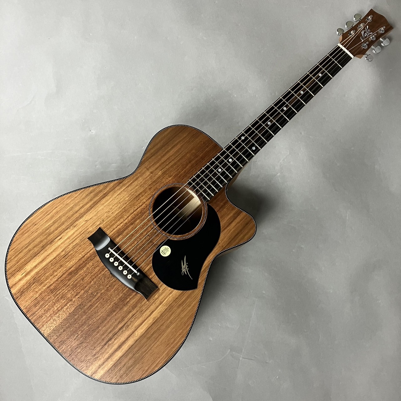MatonEBW808C