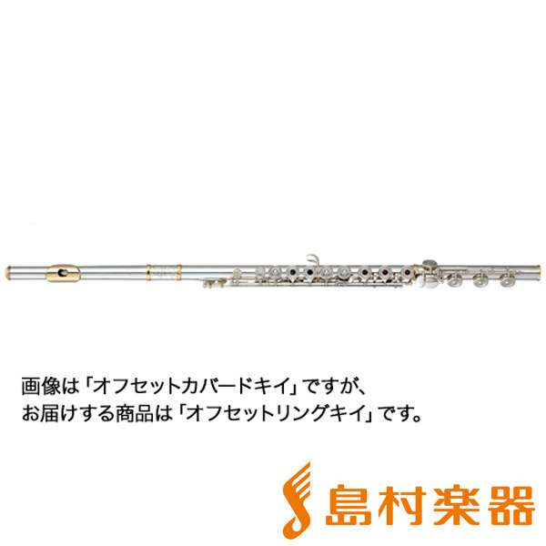 MIYAZAWAフルートAZ-RE SBR