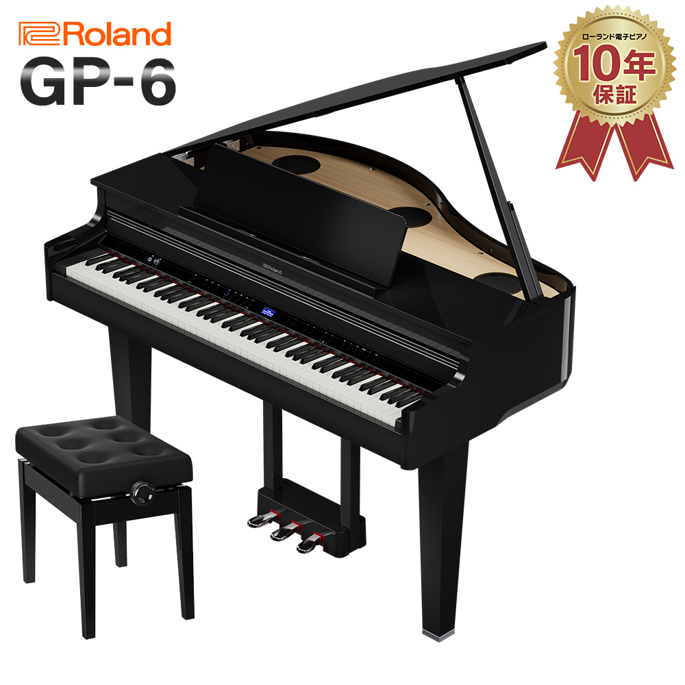 RolandGP-6