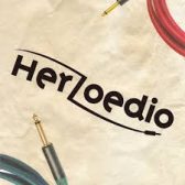 【ケーブルの違いで音が変わる！】拘り抜いた最高のサウンドのHerzoedio ヘルゾエディオ 製マイクケーブル入荷！！
