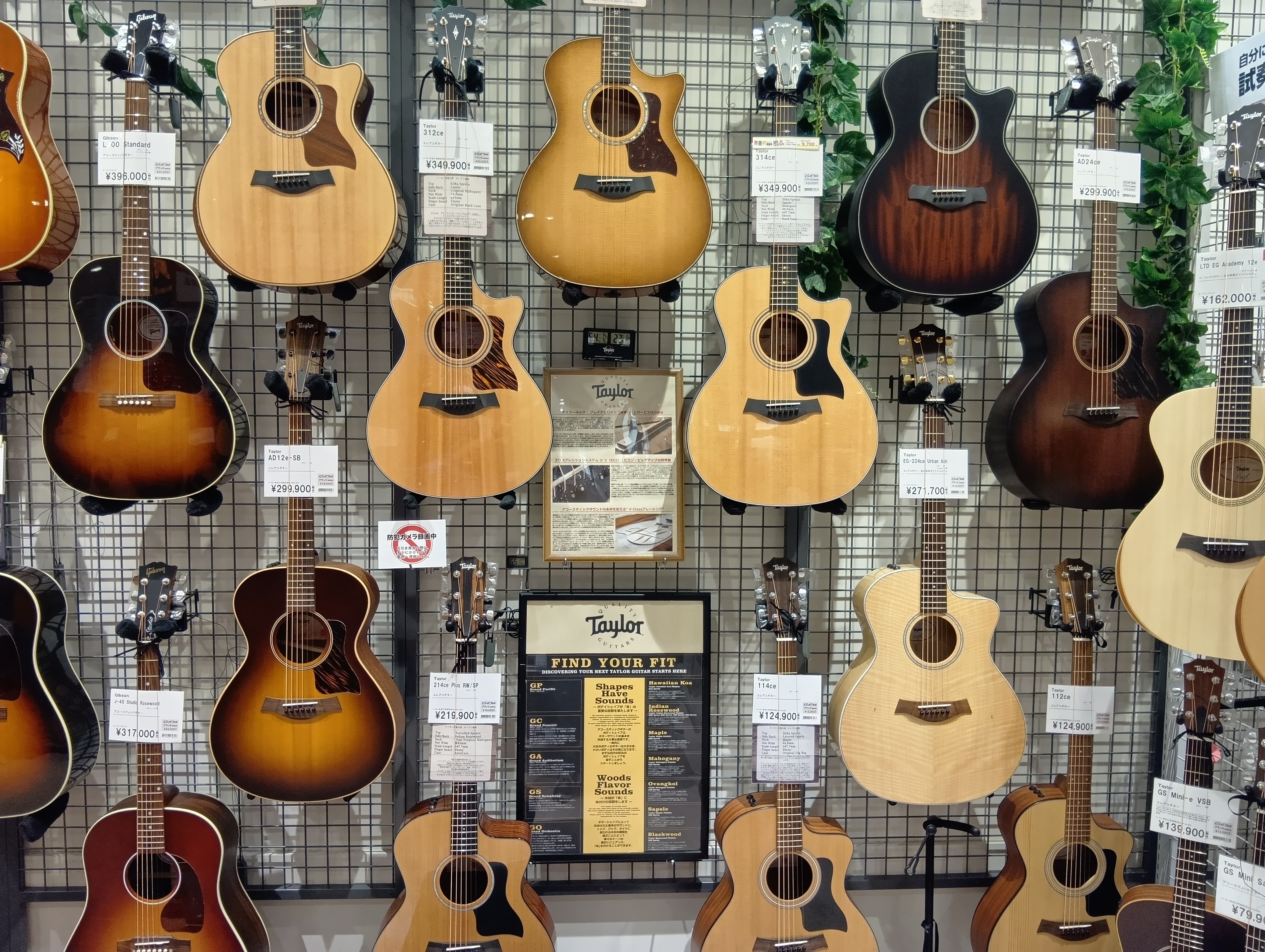 アコギ世界シェア率No1！Taylorの魅力とは… ミセスの大森さんや川﨑鷹也さん、海外ではエリック・クラプトンにポール・マッカートニー… 世界中で愛されるアメリカのアコギブランド、Taylor。 古くからアコースティックギターを制作する他のメーカーと比べ、何が違うのでしょうか。 その秘密に迫ります [&hellip;]