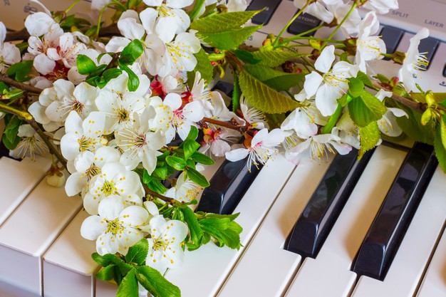 皆様、こんにちは！]]ピアノインストラクターの山田です。]]暖かい日が続き、どんどん春らしくなってきましたね！]]桜の開花宣言もされ、街中でも桜が咲き始めているのをみることができるようになりました(*^^*) さて、ピアノインストラクターブログ、久しぶりの更新となりました！（毎度ながら・・・？）]] […]