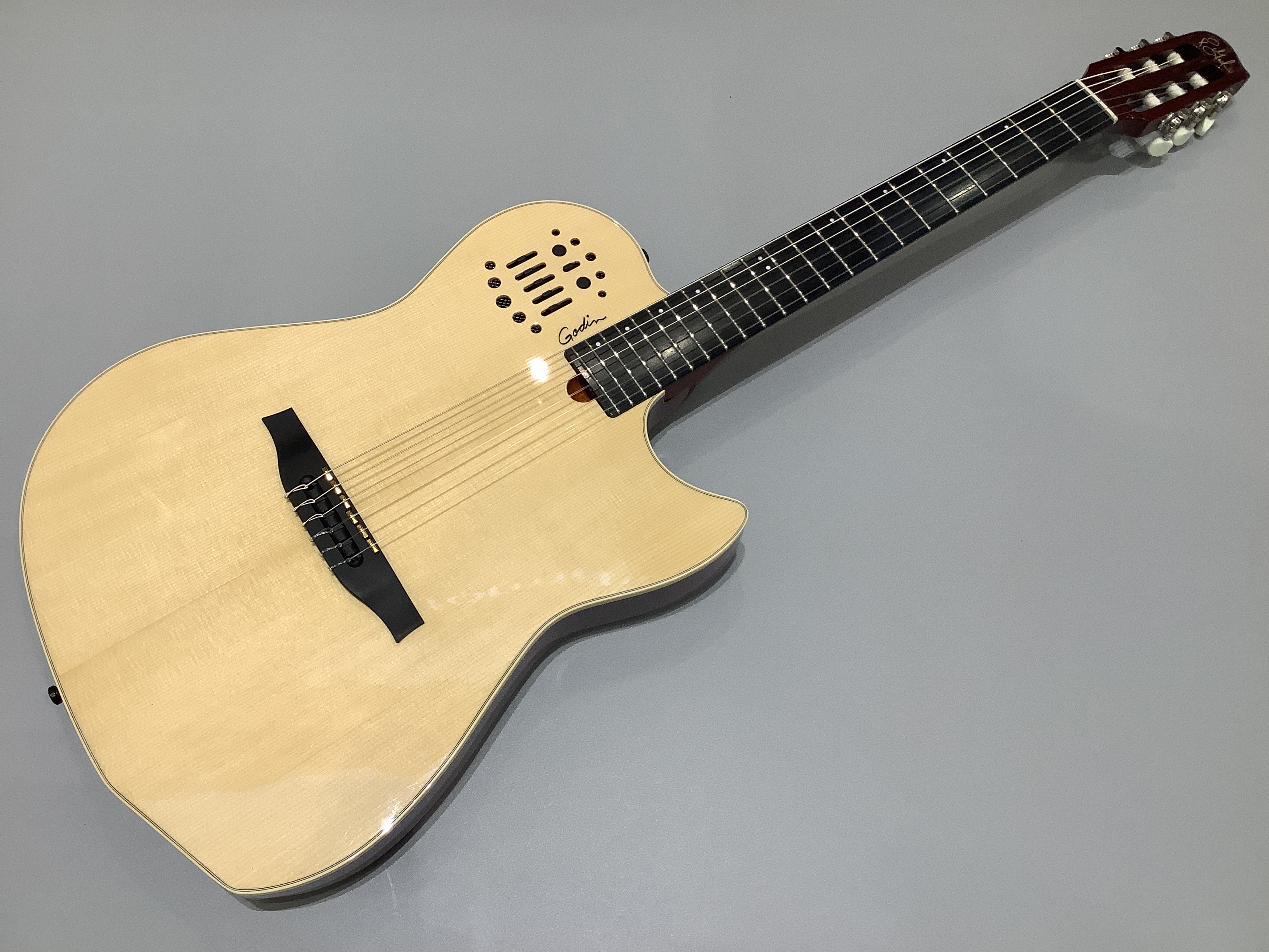 エレガット・ギターシンセ対応Multiac Nyron HG