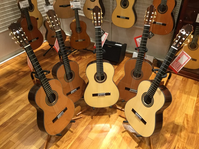 クラシックギター】コダイラ各種揃っています！｜島村楽器 ミーナ町田店