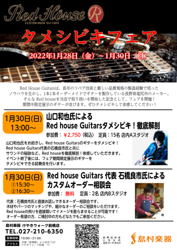 信州ギター Red house Guitars タメシビキ
