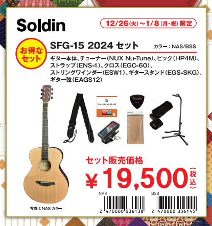 アコースティックギターSoldin SFG-15 2024セット