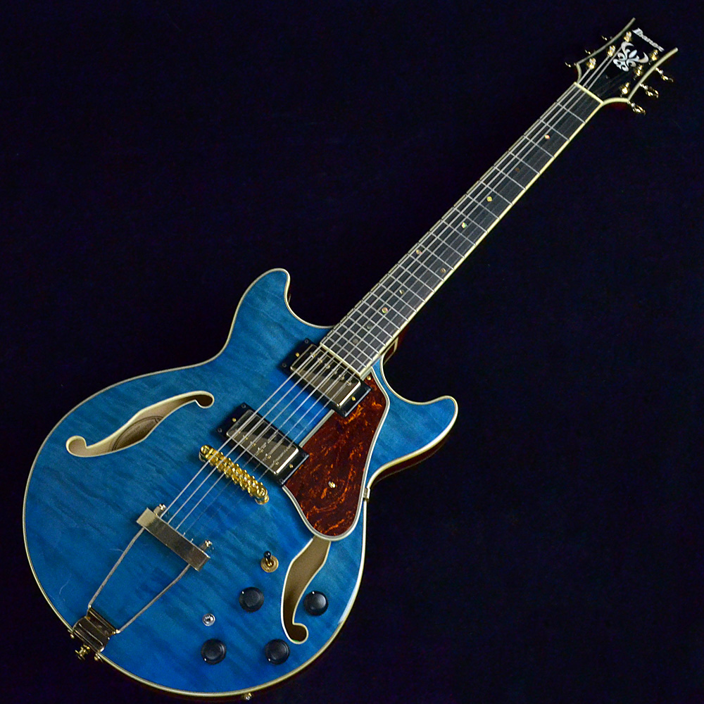 IbanezAMH90QM TBL